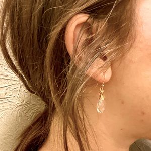 Coach Gold & Glass Drop Earring